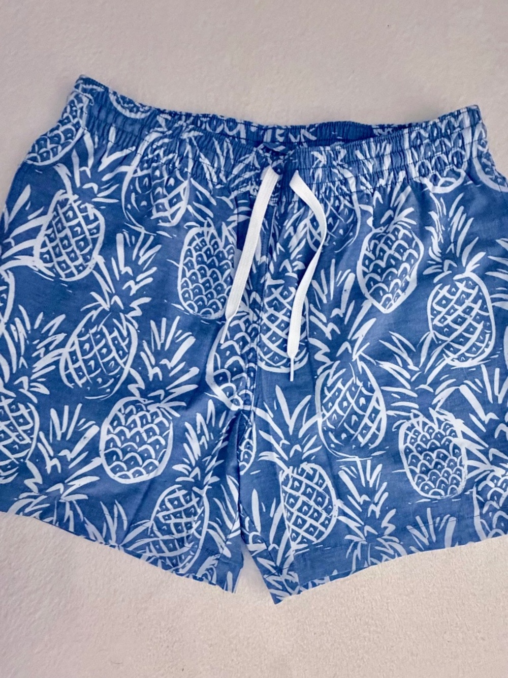 Men's Chubbies Pineapple Print Swim Trunks (Med)